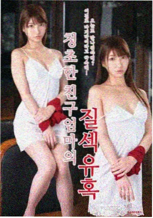 菠萝影视网剧集雾港手记封面
